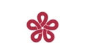 大和政务院大和省旗幟
