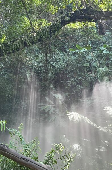 File:KyoshihiraBotania.jpg